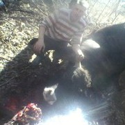 ���������� ���������, ������� ����, 42