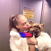 ���������� ����, �����