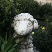 ���������� ����, ���������