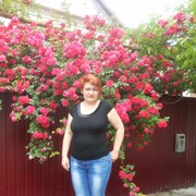  ,   Elena, 51 ,     , c 