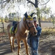 ���������� ������, ���� ������� �����, 45 ���, ������������ ��� ������, ����� � ���������