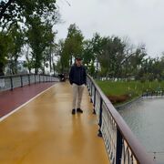 ���������� ���������, ���� ������� �������, 32 ����, ������������ ��� ������, ����� � ���������