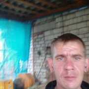  ,   Root, 37 ,   