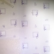  ,   , 49 ,   ,   , c 