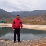 ���������� ������, ���� ������� Alqis, 44 ����, ������������ ��� ������, c�������� ���������