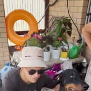 ���������� ����, ���� ������� �������, 28 ���, ������������ ��� ������, ����� � ���������