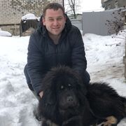 ���������� �����������-��-�����, ���� ������� ���������, 36 ���, ������������ ��� ������, ����� � ���������