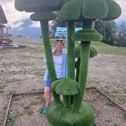  ,   , 52 ,   ,   