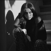 ���������� ������, ���� ������� �������, 23 ����, ������������ ��� ������, ����� � ���������