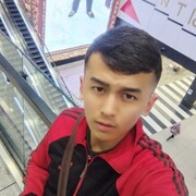 ���������� ���������, ���� ������� SASH, 30 ���, ������������ ��� ������, ����� � ���������