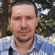  Jelcz,  , 33