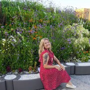 -,   , 40 ,   ,   