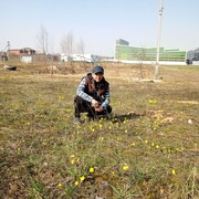 ���������� ������, ���� ������� Zaynobidin, 39 ���, ������������ ��� ������, ����� � ���������