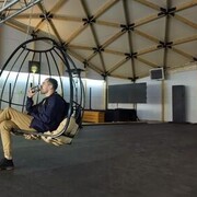 ���������� �����-���������, ���� ������� ������, 36 ���, ������������ ��� ������, ����� � ���������, ���������