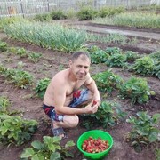 ���������� ������, ���� ������� ��������, 43 ����, ������������ ��� ����� � ���������, c�������� ���������