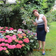  ,   , 65 ,   ,   , c 