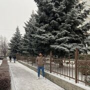  ,   Elcan, 22 ,   ,   