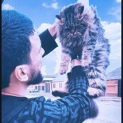  ,   Daku, 31 ,   , 