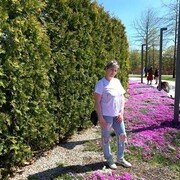 ���������� ������-��-����, ���� ������� ���������, 38 ���, ������������ ��� ����� � ���������, c�������� ���������