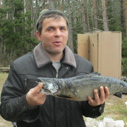  ,   , 52 ,   