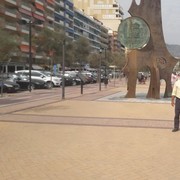  ,   , 50 ,   ,   , c 