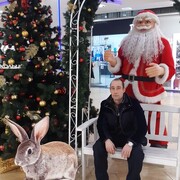 ���������� ������, ���� ������� �����, 41 ���, ������������ ��� ������, ����� � ���������, c�������� ���������, ���������