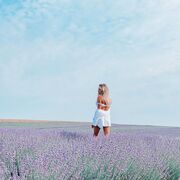 ���������� ���������, ���� ������� �����, 30 ���, ������������ ��� ������, ����� � ���������