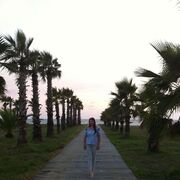 ���������� ���������, ���� ������� ���������, 52 ����, ������������ 