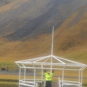 ���������� ������, ���� ������� �����, 38 ���, ������������ ��� ������, ����� � ���������, c�������� ���������, ���������