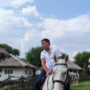 ���������� ������-��-����, ���� ������� �������, 38 ���, ������������ ��� ����� � ���������, c�������� ���������, ���������