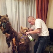 ���������� ������, ���� ������� �������, 45 ���, ������������ ��� ������, ����� � ���������, c�������� ���������