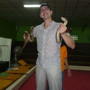  ,   , 43 ,   ,   , c 