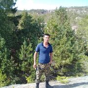  ,   TIGER, 39 ,     , c , 