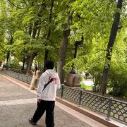  ,   , 29 ,   ,   