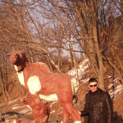 ���������� �����������, ���� ������� �������, 37 ���, ������������ ��� ������