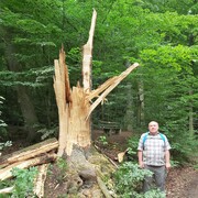 Freital,   , 68 ,   ,   , c 