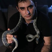 ���������� �����������, ���� ������� �����, 35 ���, ������������ ��� ������, ����� � ���������, c�������� ���������