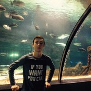 ���������� ������, ���� ������� ����, 31 ���, ������������ ��� ������, ����� � ���������, c�������� ���������