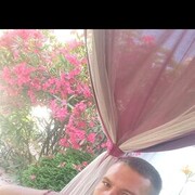  ,   , 33 ,   ,   