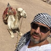 ���������� ��������, ���� ������� ��������, 41 ���, ������������ ��� ������, ����� � ���������, c�������� ���������, ���������