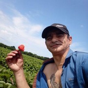  --,    , 48 ,   ,   