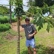 ���������� ������, ���� ������� A����, 45 ���, ������������ ��� ������, ����� � ���������, c�������� ���������, ���������