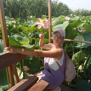  ,   , 55 ,   ,   , c 