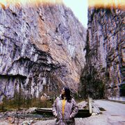 ���������� ����, ���� ������� �����, 43 ����, ������������ 