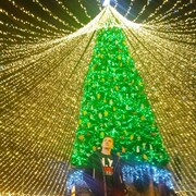 ���������� ����, ���� ������� Petya, 26 ���, ������������ ��� ������, ����� � ���������