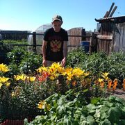 ���������� �������, ���� ������� �������, 38 ���, ������������ ��� c�������� ���������, ���������