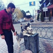 ���������� ������, ���� ������� Ara, 34 ����, ������������ ��� ������, ����� � ���������, c�������� ���������