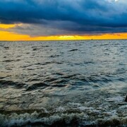 ���������� �����-���������, ���� ������� ����������, 31 ���, ������������ ��� ����� � ���������, c�������� ���������