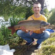  Zabkowice Slaskie,  , 32