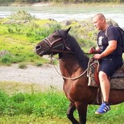 ���������� �����������, ���� ������� ������, 31 ���, ������������ ��� ������, ����� � ���������, c�������� ���������, ���������